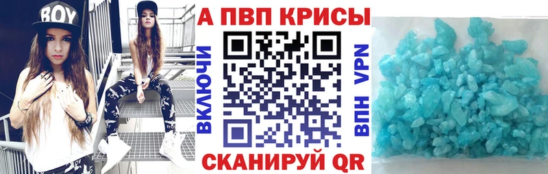 A PVP СК Шелехов
