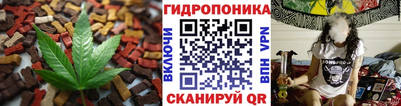 купить наркотики сайты  Шелехов  Canna-Cookies марихуана 