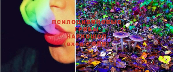 спайс Богданович