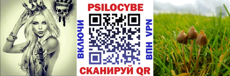 Галлюциногенные грибы ЛСД  купить наркоту  дарк нет формула  Шелехов 